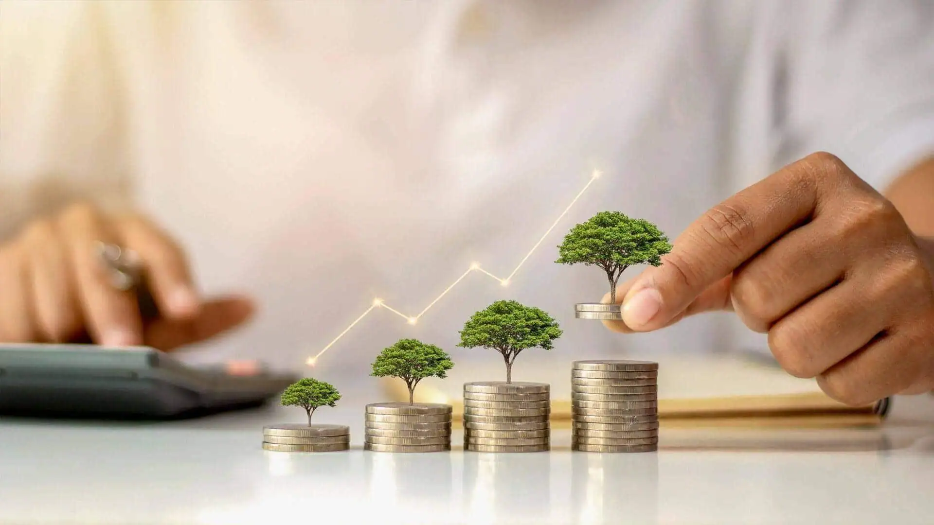 Wealth Compounding and Growth